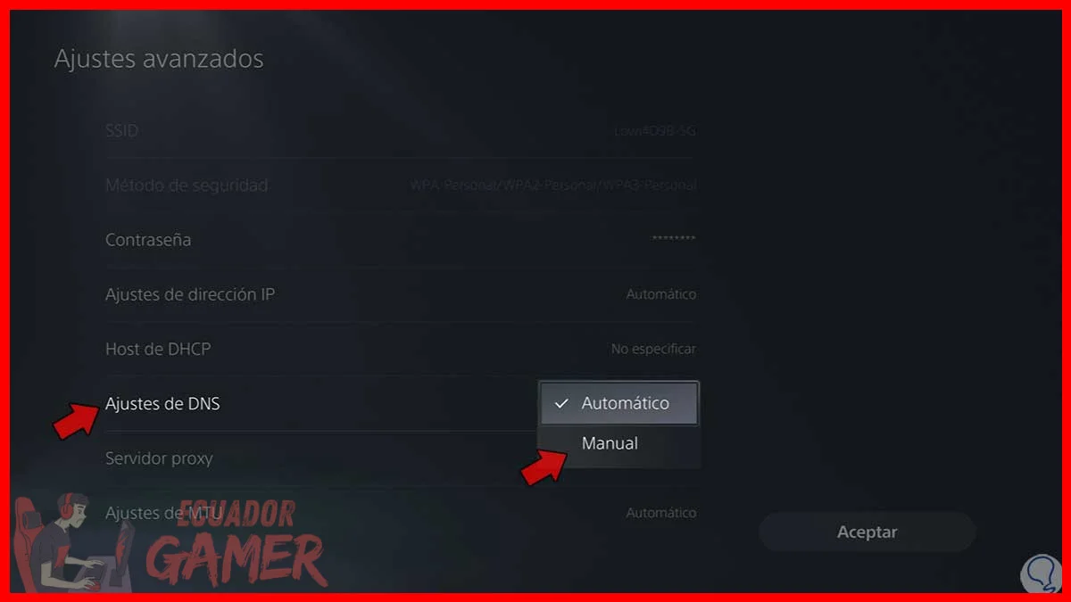 Cómo acceder al panel de adaptadores de red en Windows 11